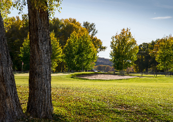 bunker lined by trees at Dos Rios Golf Club